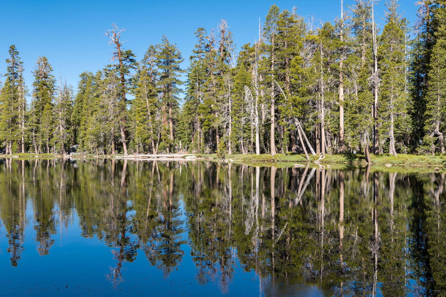 Chilnualna Lakes (middle)